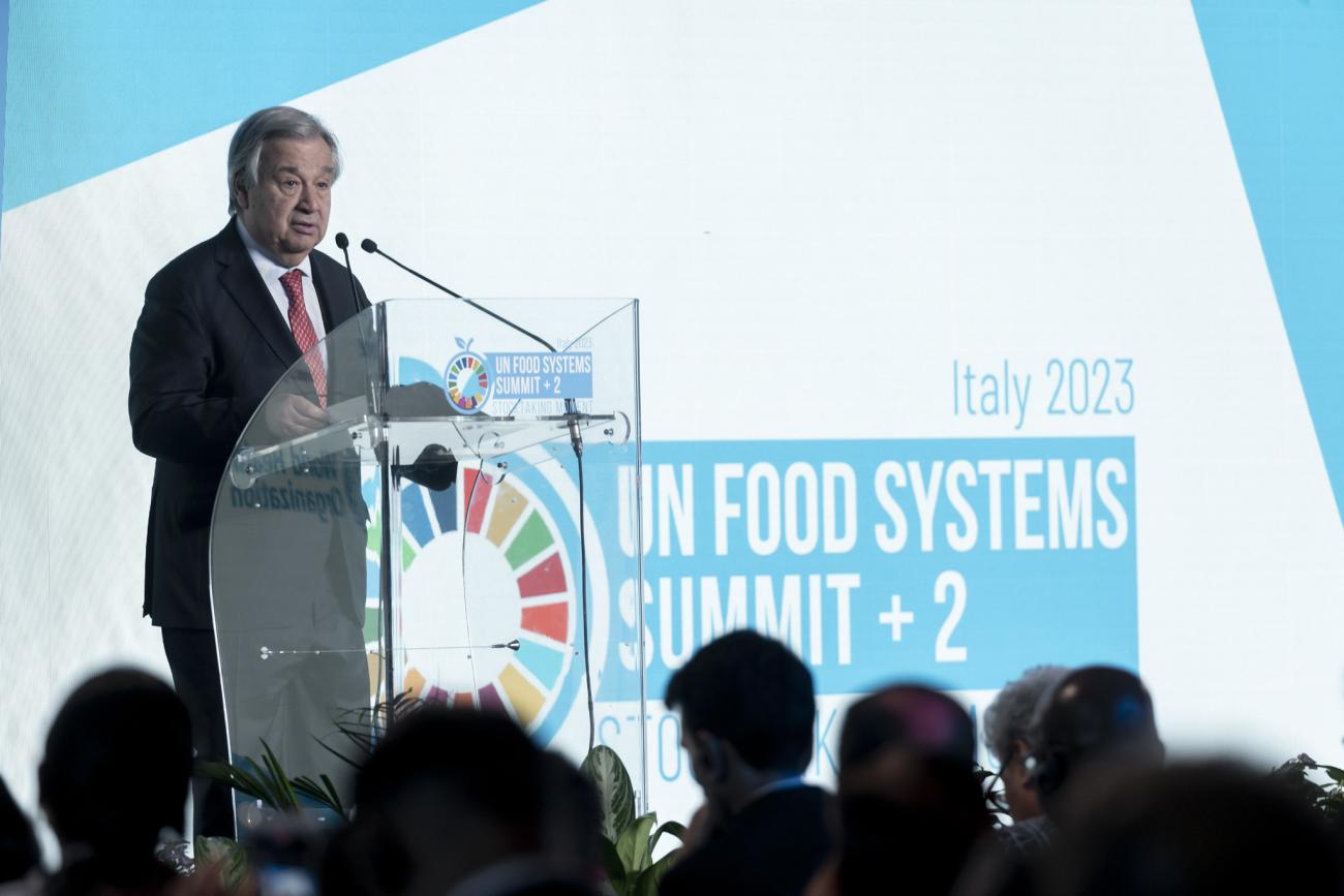 Transformasi Pertanian Diperlukan untuk Mengurangi Dampak Lingkungan